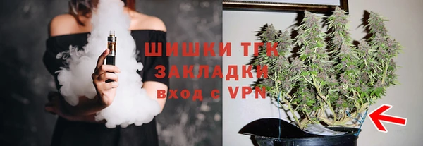 гидра Володарск
