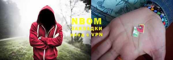 гидра Володарск