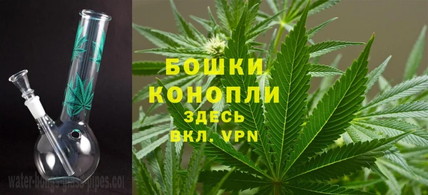 гидра Володарск