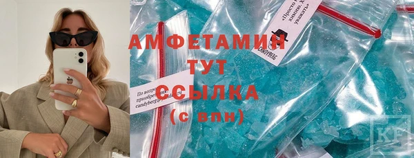 гидра Володарск