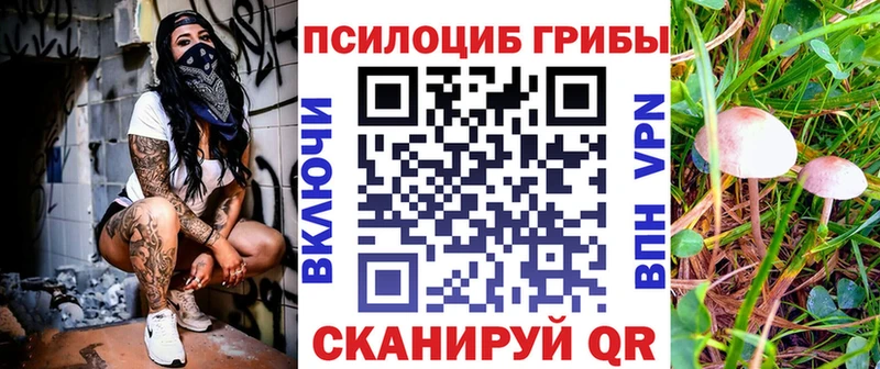 Купить  Новокубанск  Галлюциногенные грибы GOLDEN TEACHER 